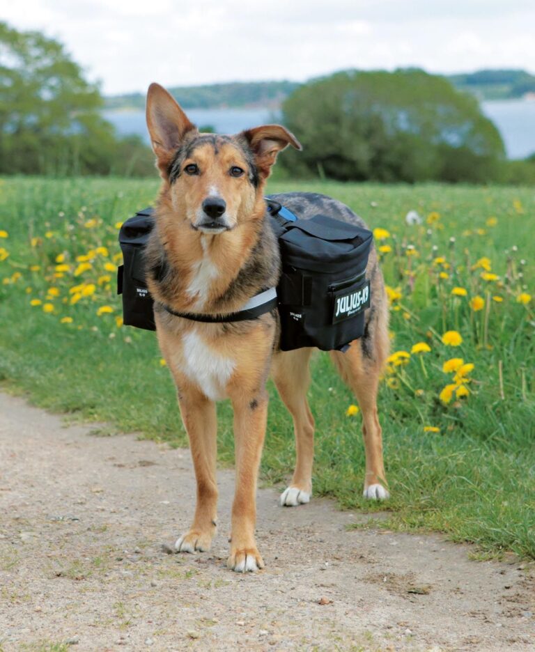 Julius K-9 klövjeväska