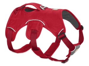 ruffwear web master