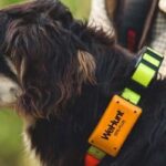 WeHunt GPS Plus
