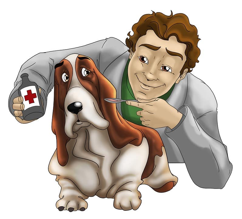 Veterinär hund