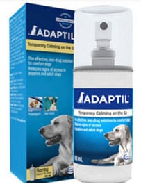 Hund i bil adaptil