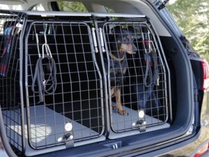 Bilbur för hund