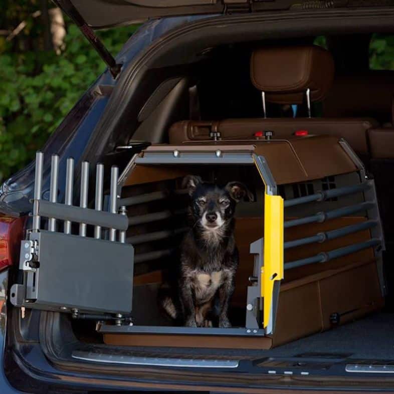 Bästa bilburen för hund